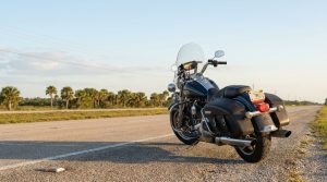 touring motorcycle with saddlebags parked on Florida highway roadside near palm trees
